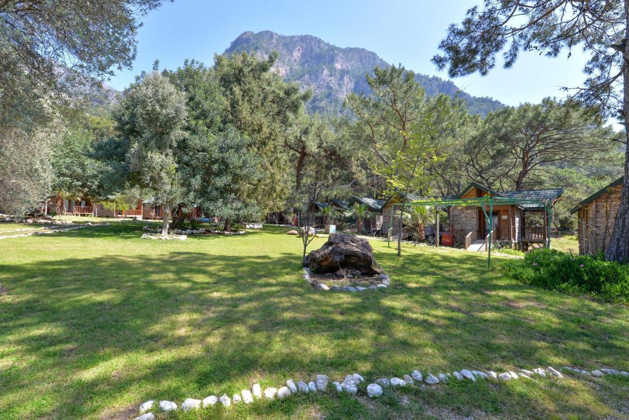 Sea Valley Lodge Faralya Kültér fotó